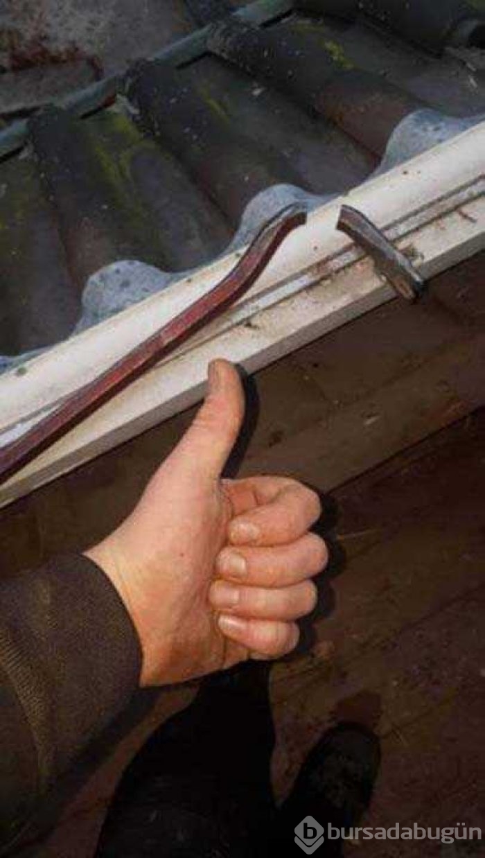 Günün en çok paylaşılan fotoğrafları