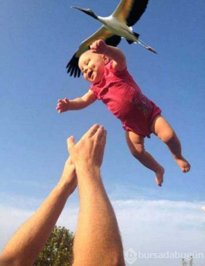 Günün en çok paylaşılan fotoğrafları