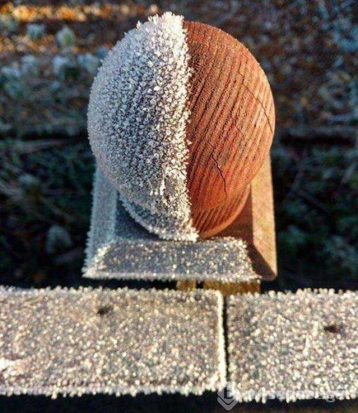 Günün en çok paylaşılan fotoğrafları