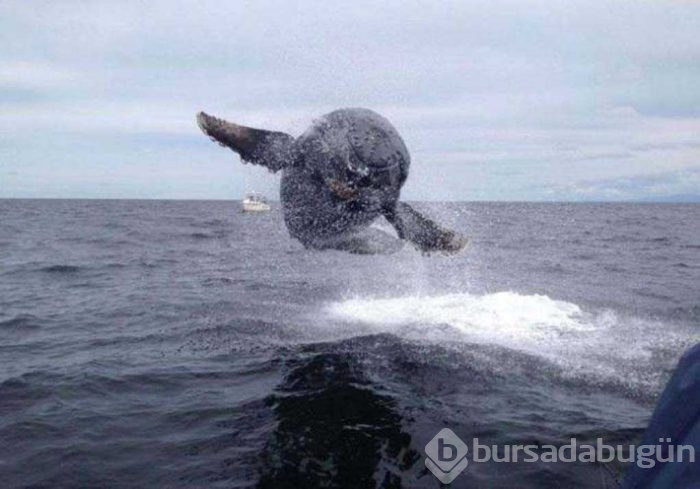 Günün en çok paylaşılan fotoğrafları
