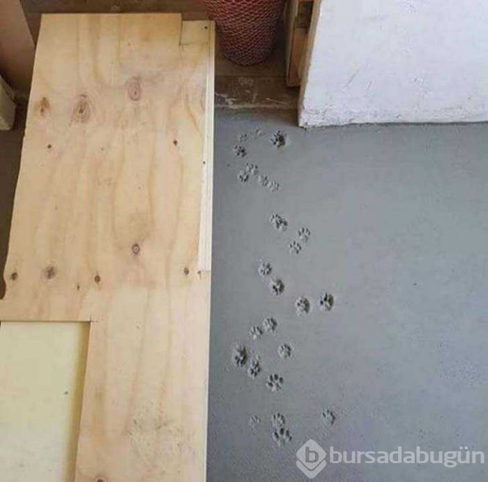 Günün en çok paylaşılan fotoğrafları
