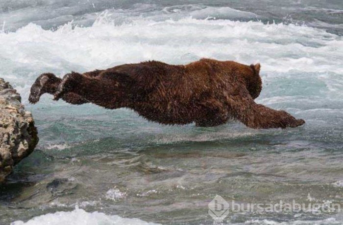 Günün en çok paylaşılan fotoğrafları
