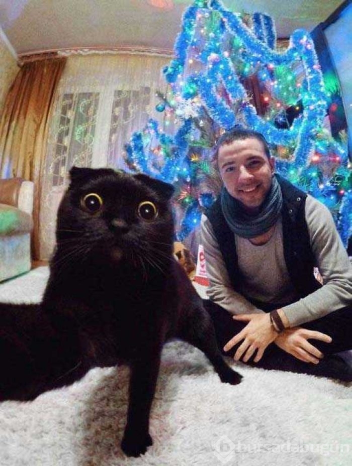 Günün en çok paylaşılan fotoğrafları
