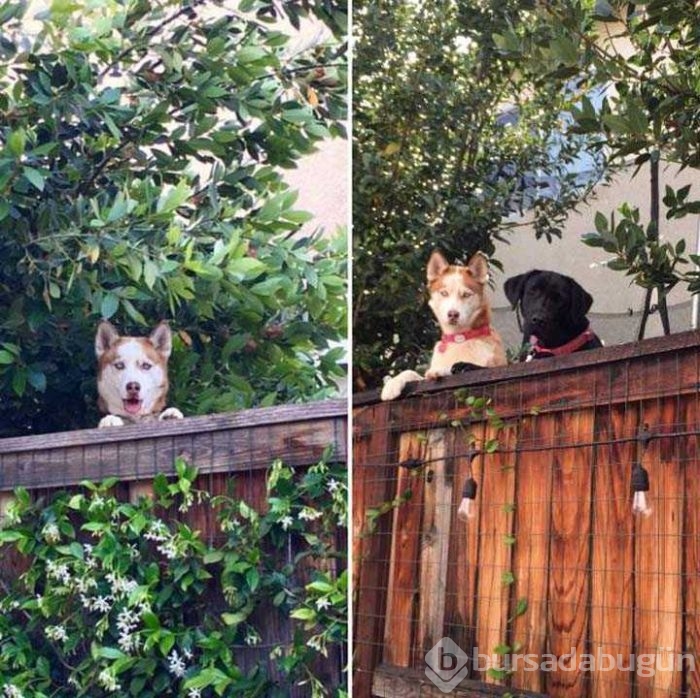 Günün en çok paylaşılan fotoğrafları
