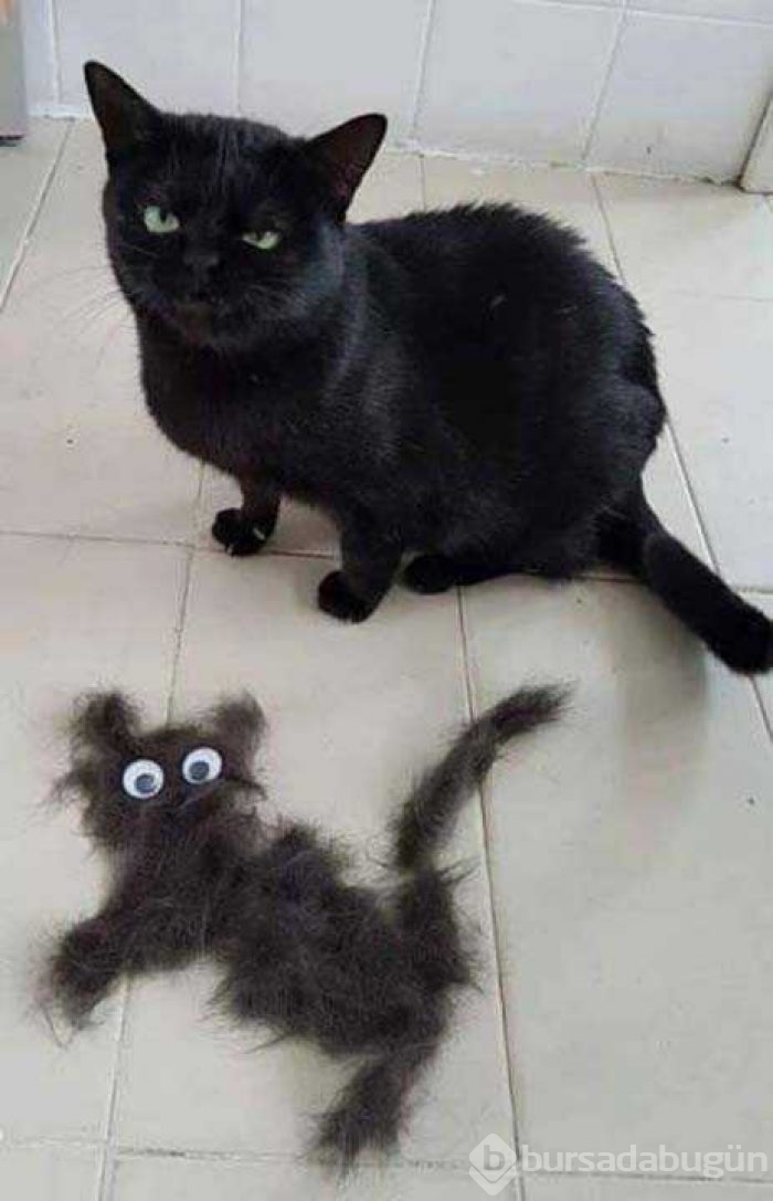 Günün en çok paylaşılan fotoğrafları
