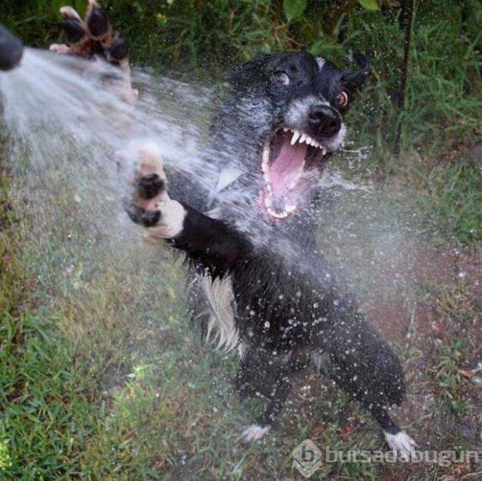 Günün en çok paylaşılan fotoğrafları
