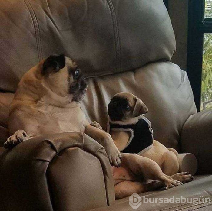 Günün en çok paylaşılan fotoğrafları
