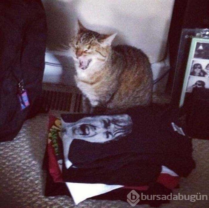 Günün en çok paylaşılan fotoğrafları
