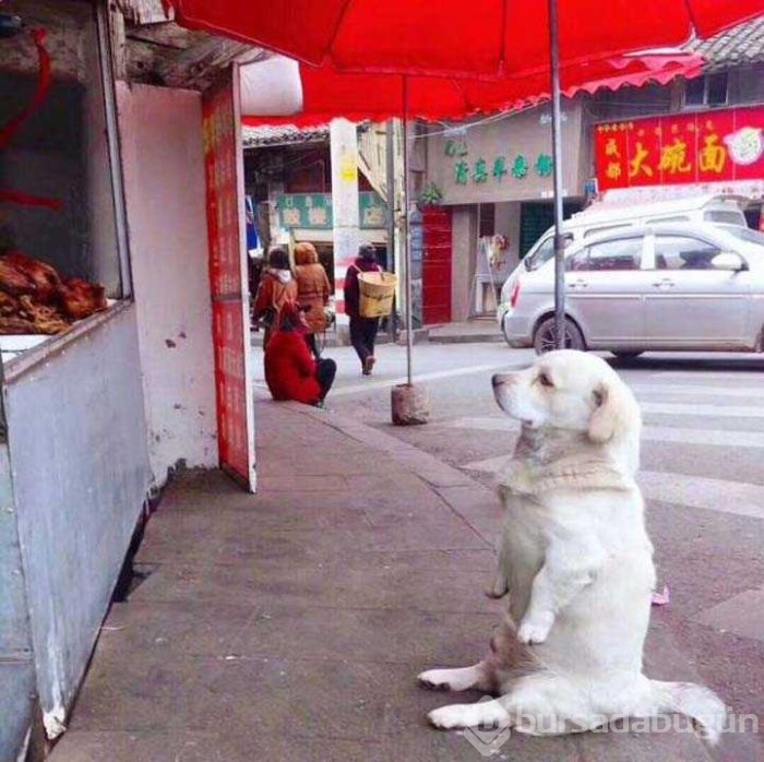 Günün en çok paylaşılan fotoğrafları
