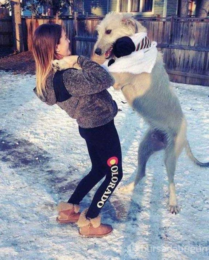 Günün en çok paylaşılan fotoğrafları
