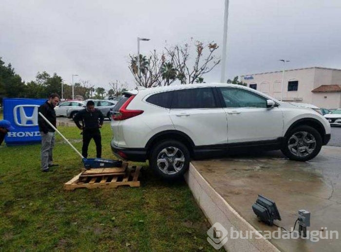 Günün en çok paylaşılan fotoğrafları
