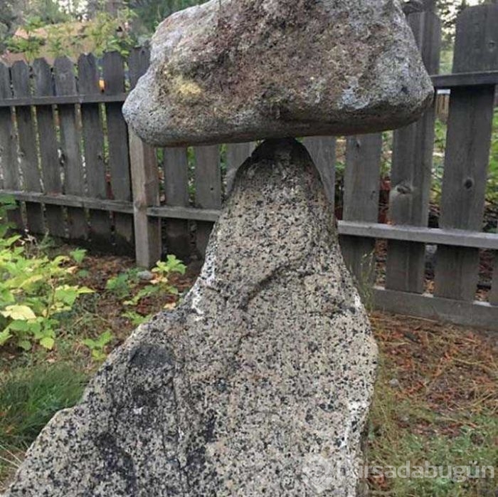 Günün en çok paylaşılan fotoğrafları
