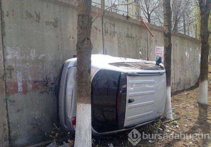 Günün en çok paylaşılan fotoğrafları
