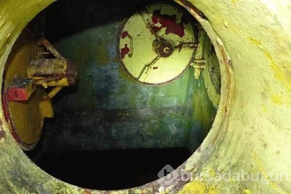 Ormandaki gizli kapının içinden bakın ne çıktı
