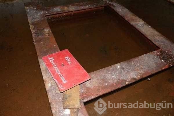 Ormandaki gizli kapının içinden bakın ne çıktı
