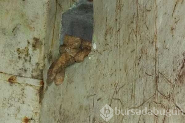 Ormandaki gizli kapının içinden bakın ne çıktı
