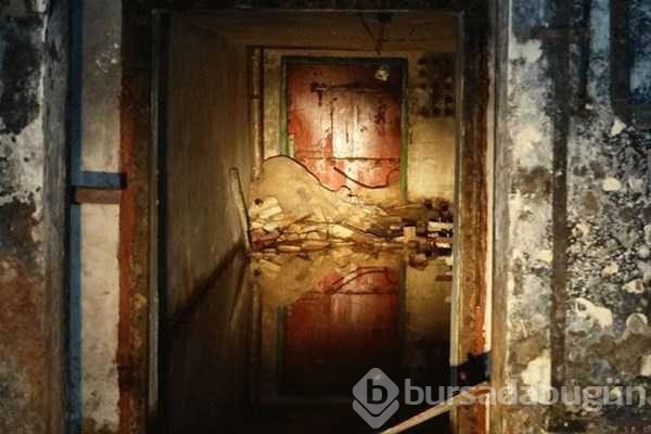 Ormandaki gizli kapının içinden bakın ne çıktı
