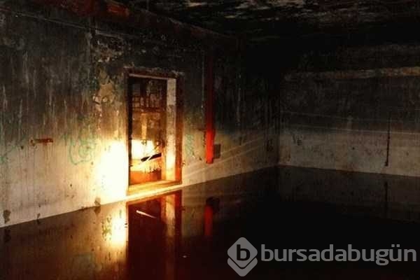 Ormandaki gizli kapının içinden bakın ne çıktı
