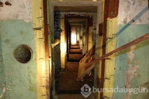 Ormandaki gizli kapının içinden bakın ne çıktı

