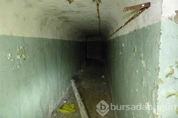 Ormandaki gizli kapının içinden bakın ne çıktı
