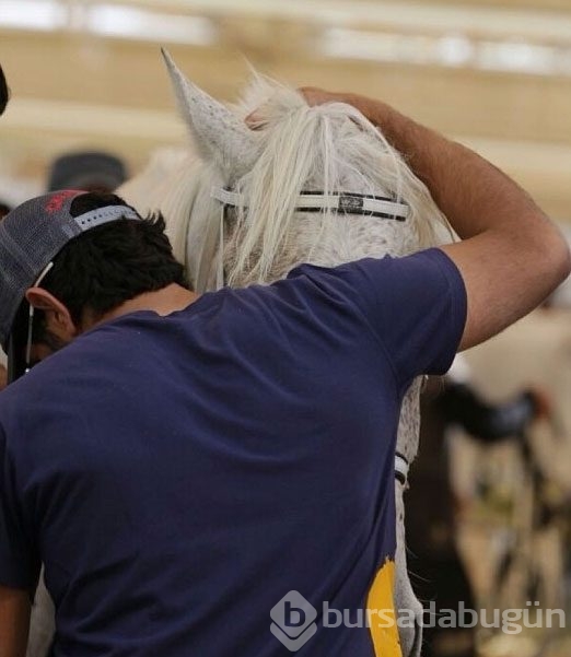 Dubai Prensi`nin çılgın fotoğrafları
