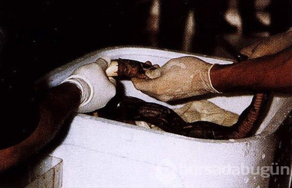 Kaçakçılar sınır tanımıyor