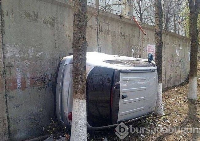 Görenler hayrete düşürüyor