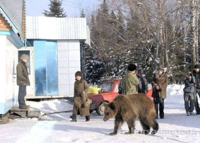 Rusya'da sıradan bir gün