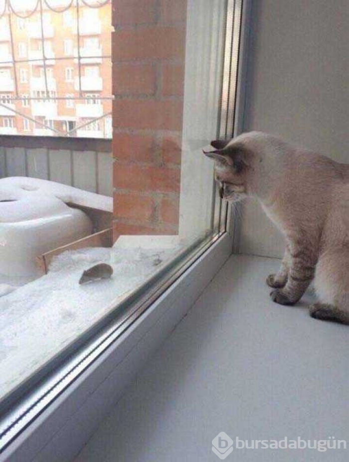 Günün en çok paylaşılan fotoğrafları