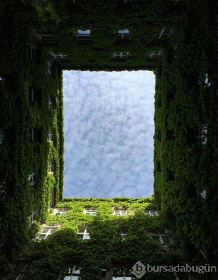 Günün en çok paylaşılan fotoğrafları
