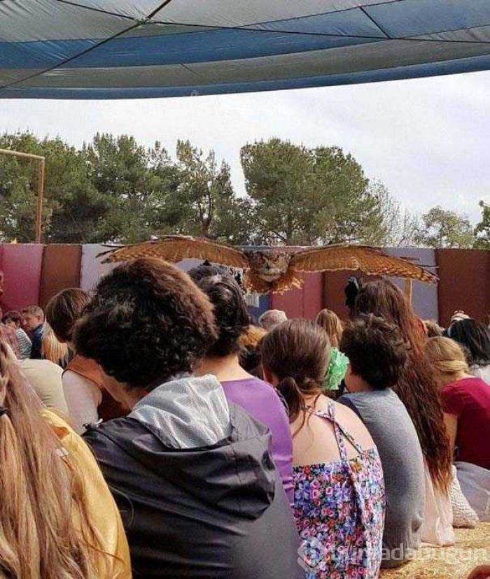Günün en çok paylaşılan fotoğrafları