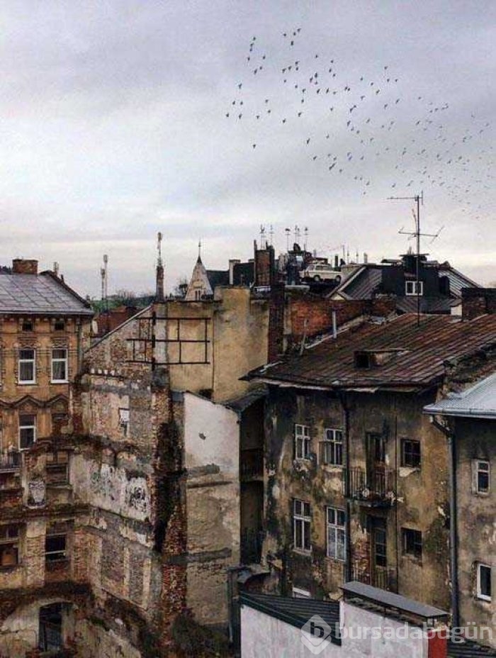 Günün en çok paylaşılan fotoğrafları