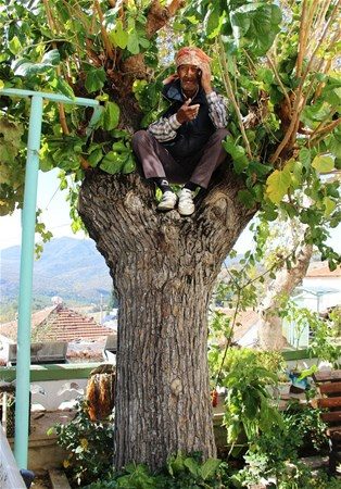 2017 yılına damga vuran fotoğraflar