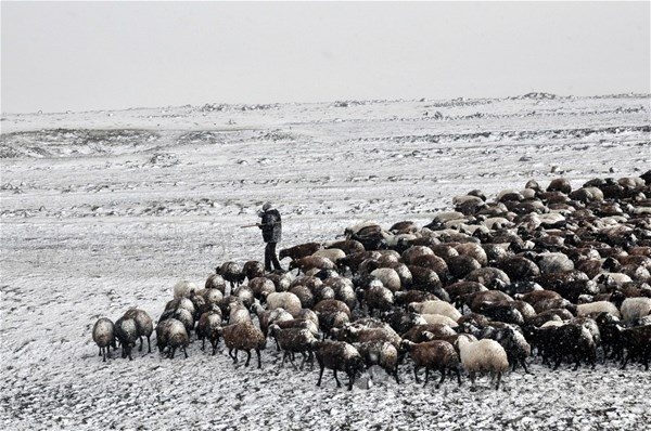 2017 yılına damga vuran fotoğraflar