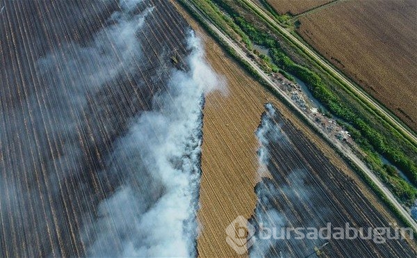 2017 yılına damga vuran fotoğraflar