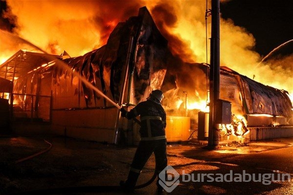 2017 yılına damga vuran fotoğraflar