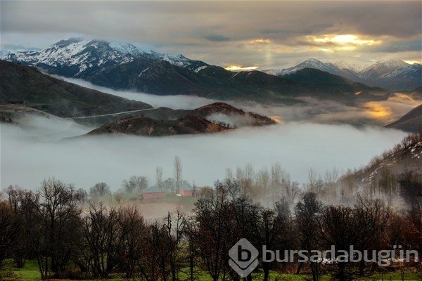 2017 yılına damga vuran fotoğraflar