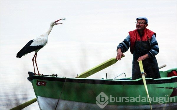 2017 yılına damga vuran fotoğraflar