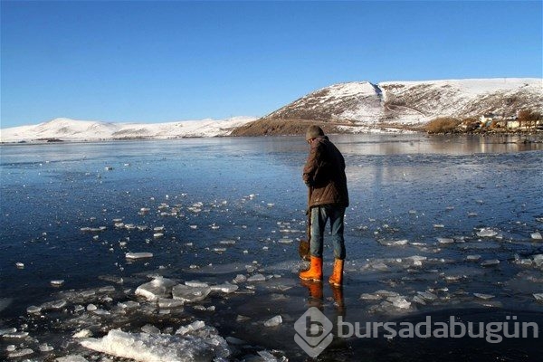 2017 yılına damga vuran fotoğraflar