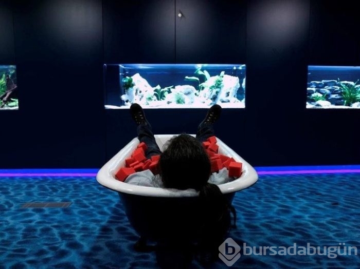 Google'ın en şanslı çalışanları: Zooglers