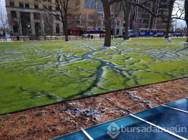 Günün en çılgın fotoğrafları