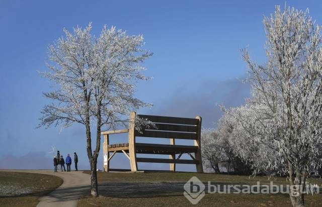 Günün en çılgın fotoğrafları