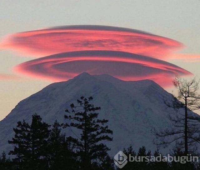 Günün en çılgın fotoğrafları