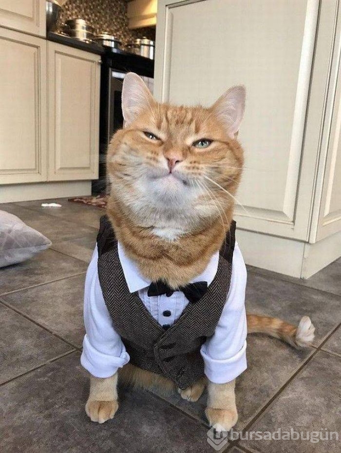Günün en çılgın fotoğrafları
