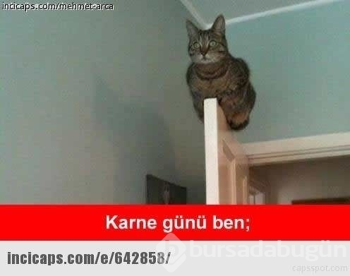 E-Okul'a bakarken babam capsleri
