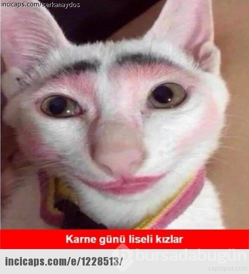 E-Okul'a bakarken babam capsleri