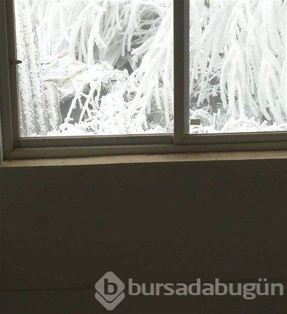 Çarpıcı fotoğraflar ve hikayeleri