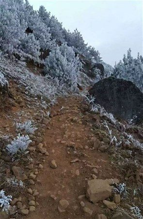 Çarpıcı fotoğraflar ve hikayeleri
