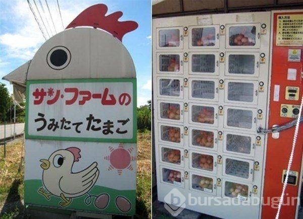 Japonya'yı bir de böyle görün!