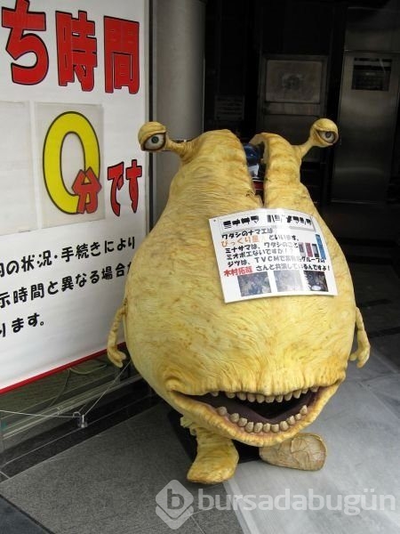 Japonya'yı bir de böyle görün!